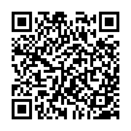 QR code for Q419MS