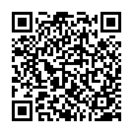 QR code for Q4385T