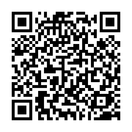 QR code for Q4507H