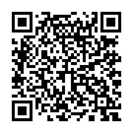 QR code for Q46LAG