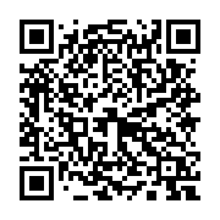 QR code for Q495VP