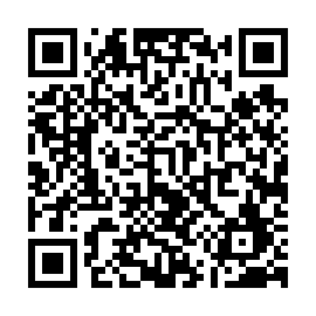 QR code for Q5463F