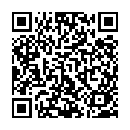 QR code for Q595EO