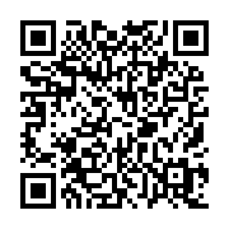 QR code for Q699PM