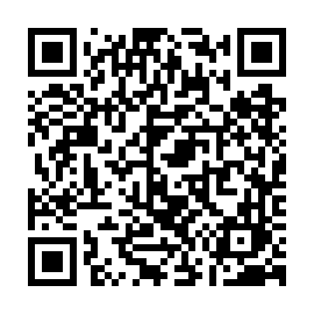 QR code for Q737FL