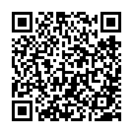 QR code for Q866LO