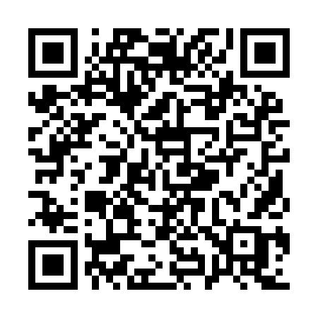 QR code for Q919DB