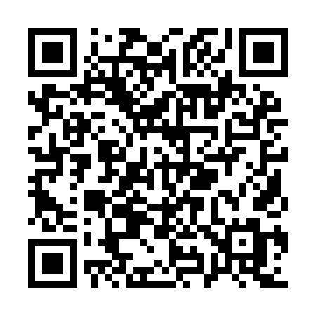 QR code for Q919DM