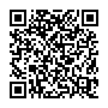QR code for Q919KC