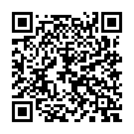 QR code for Q919MB