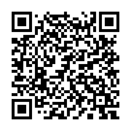 QR code for Q938ZU