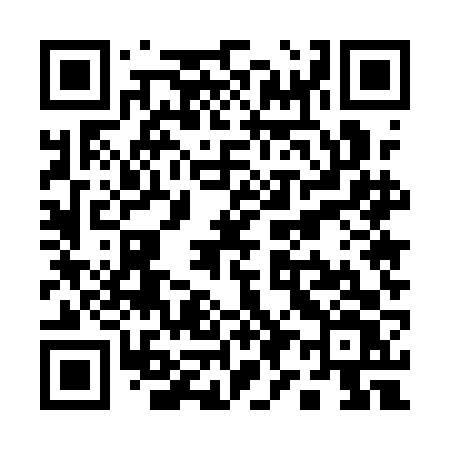 QR code for Q951FV