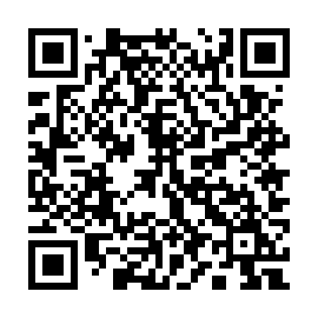QR code for Q955ZM