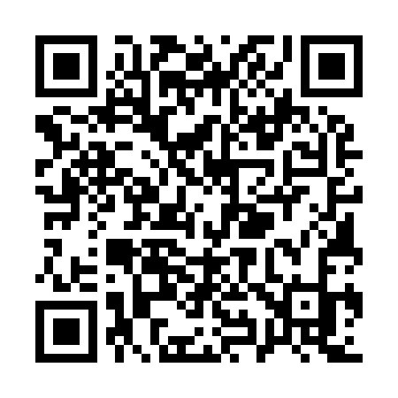 QR code for Q9593K