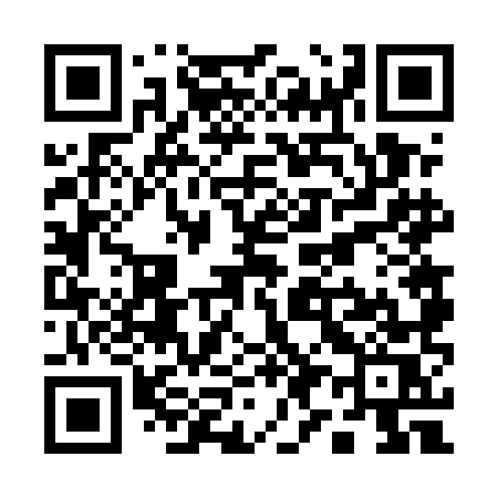 QR code for Q965MS
