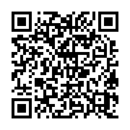 QR code for Q9729Y
