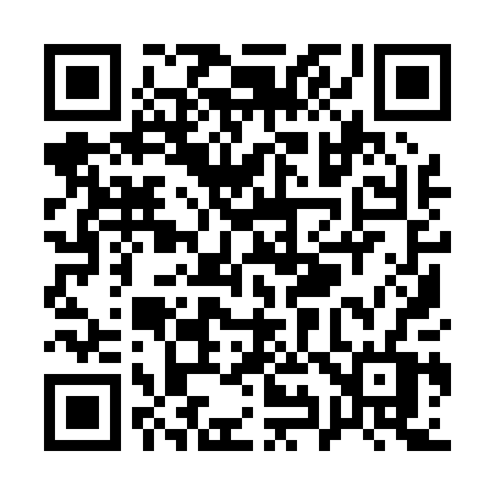 QR code for Q9900V