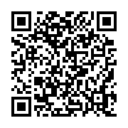QR code for Q993SN
