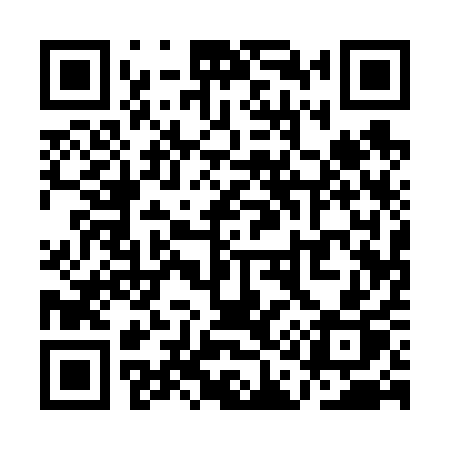 QR code for QA161P