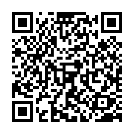 QR code for QD203X