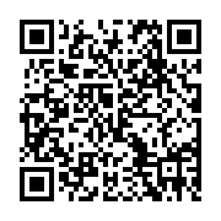 QR code for QDG09X