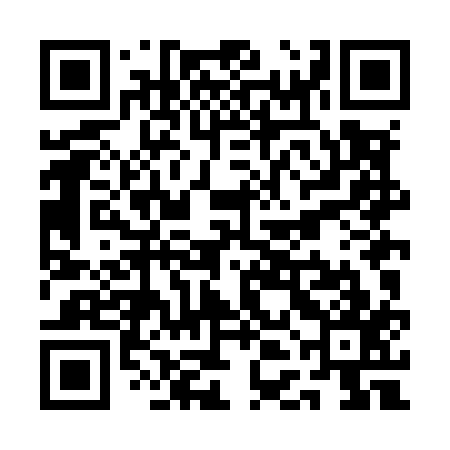 QR code for QDLM17