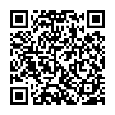 QR code for QDNG81
