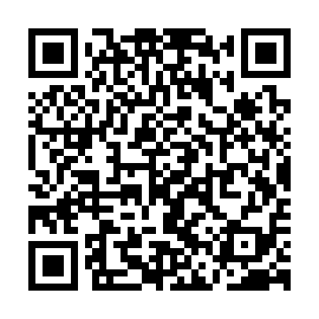 QR code for QFSS19