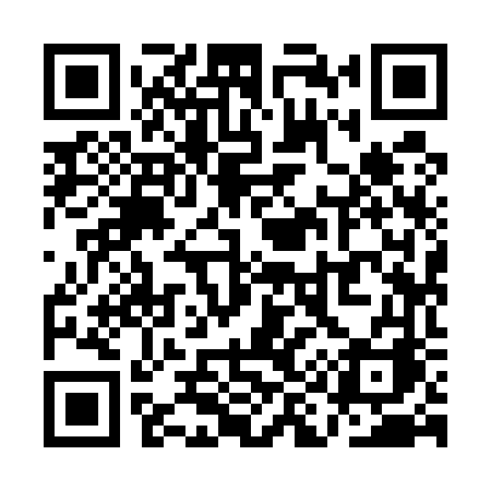QR code for QI956A