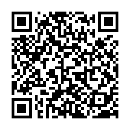 QR code for QIFM19