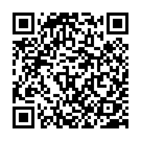 QR code for QJ309X