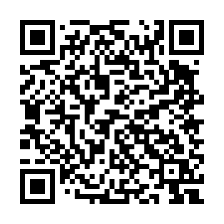 QR code for QJ541S