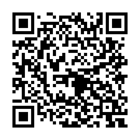 QR code for QL95QV