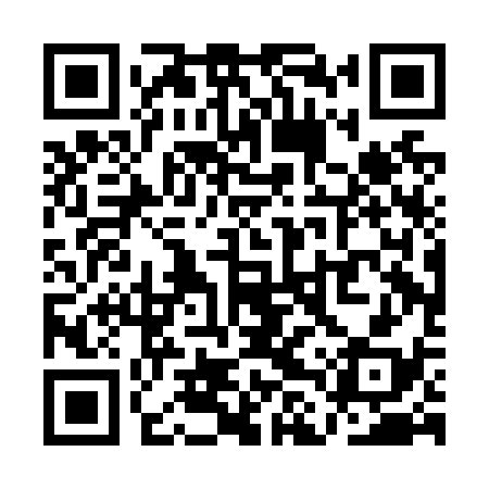 QR code for QLPN38