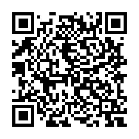 QR code for QN919Q