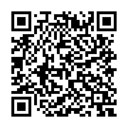 QR code for QN95TQ