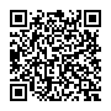 QR code for QP295A