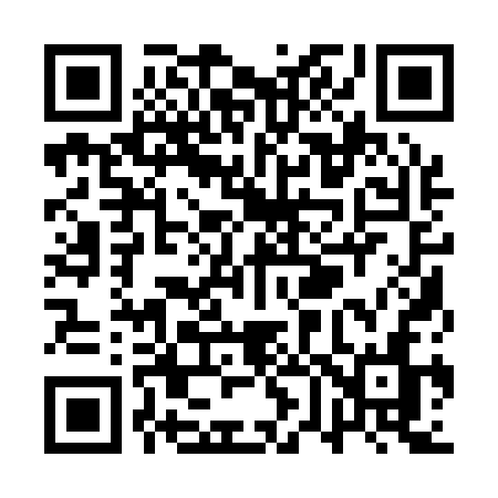 QR code for QV113N