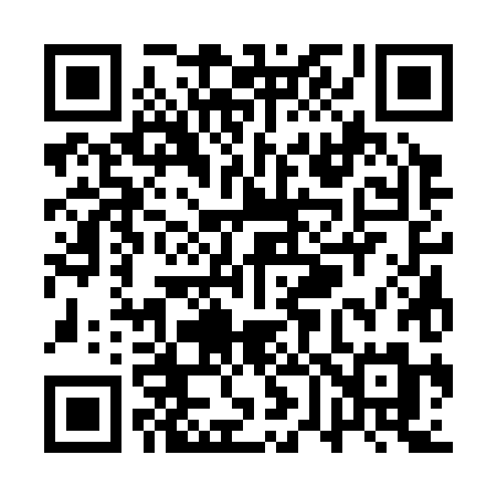 QR code for QV338M