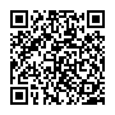 QR code for QVIB29
