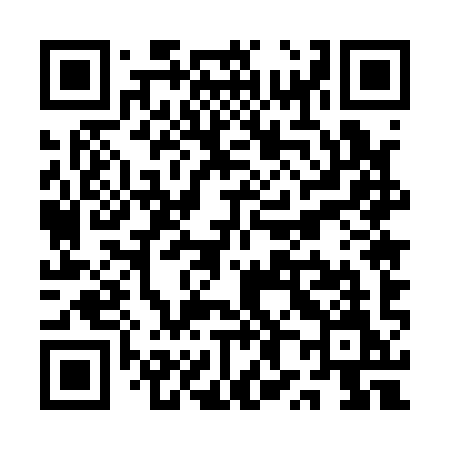 QR code for QX519M