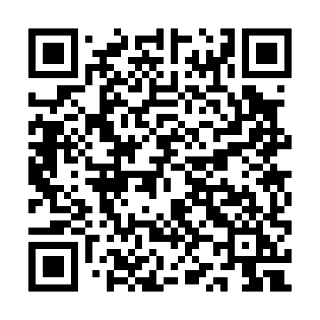 QR code for QZ308I