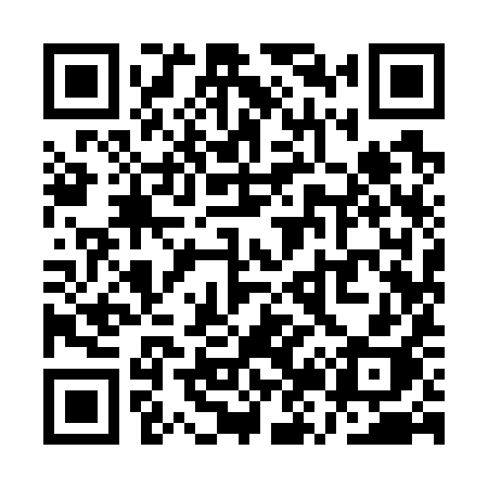 QR code for QZ979H