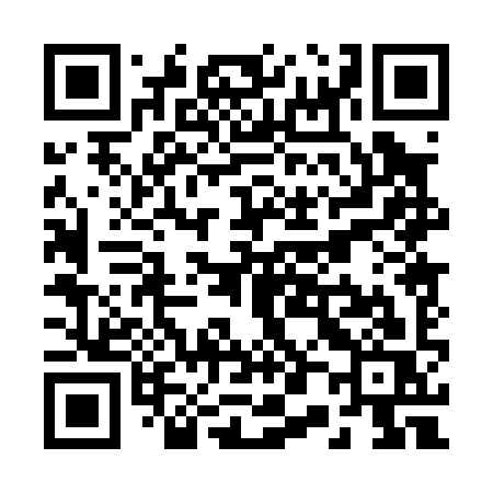 QR code for R0009S