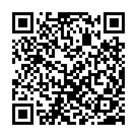 QR code for R01SIZ