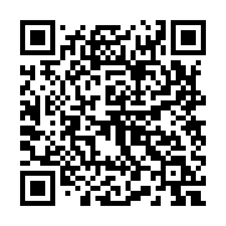 QR code for R0291L