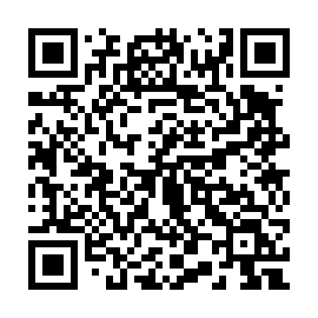 QR code for R0346L