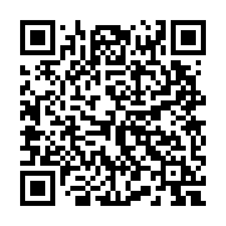 QR code for R0379H