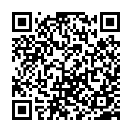 QR code for R0629T