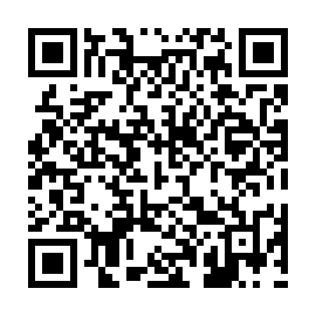 QR code for R0875N